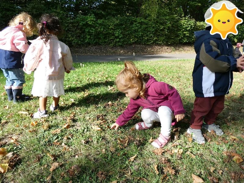 Die Kinder sammeln Blätter auf einer Wiese während dem Spaziergang