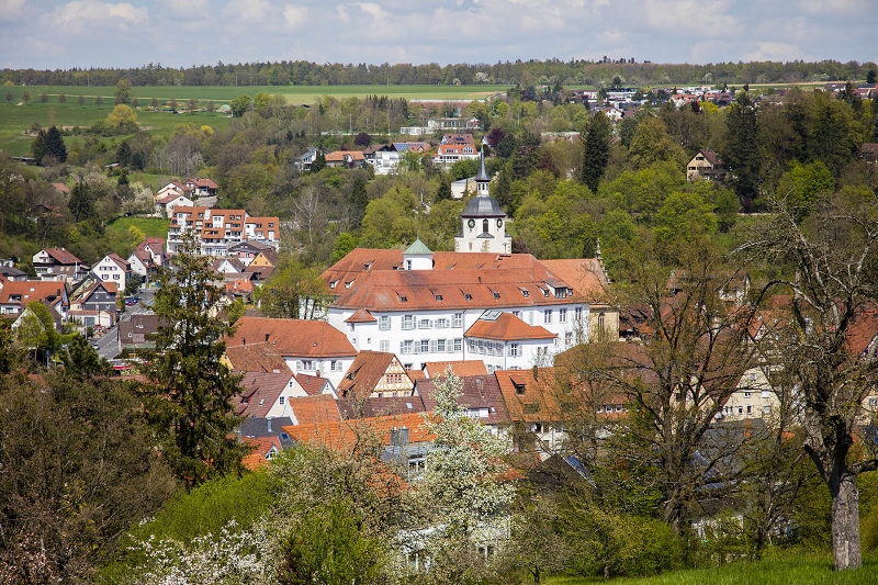 Stadtansicht Blick auf das Schloss Waldenbuch